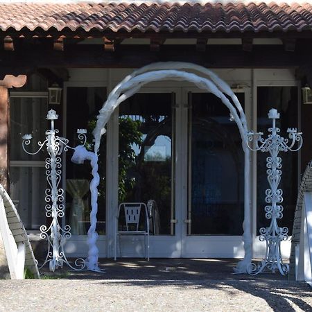 Hotel Las Casitas Del Jardin Tudela de Duero ภายนอก รูปภาพ